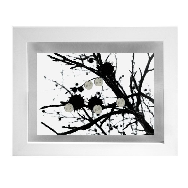 Family Tree Frame - Small